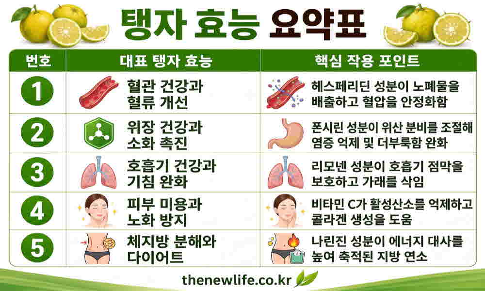 탱자 효능 요약표