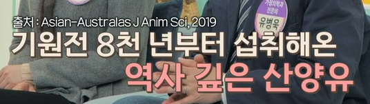 산양유 단백질
