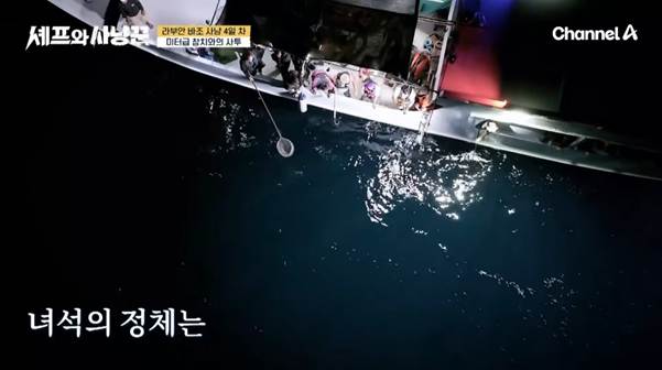 낚싯줄로 상어 잡은 여자연예인.jpg | 인스티즈