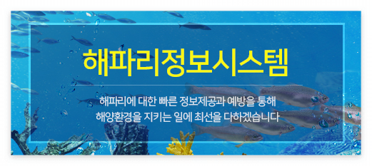 해파리정보시스템