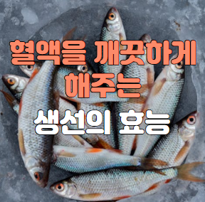 혈액을 깨끗하게 해주는 생선의 효능