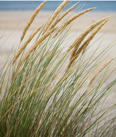 개인회생 신청자격 절차 총정리: 신청부터 인가까지 한 번에 알아보기