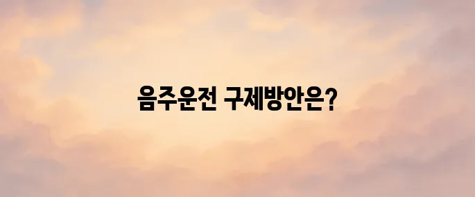 음주운전 처벌기준 구제방법