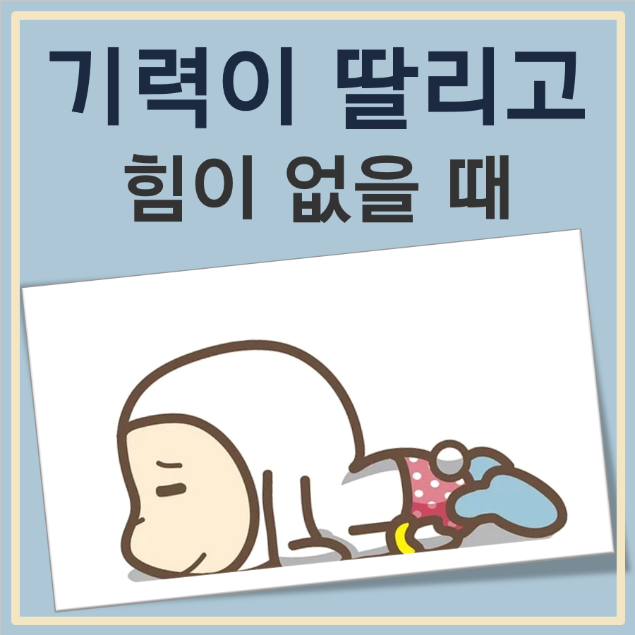 기력이 딸리고 힘이 없을때 좋은 음식