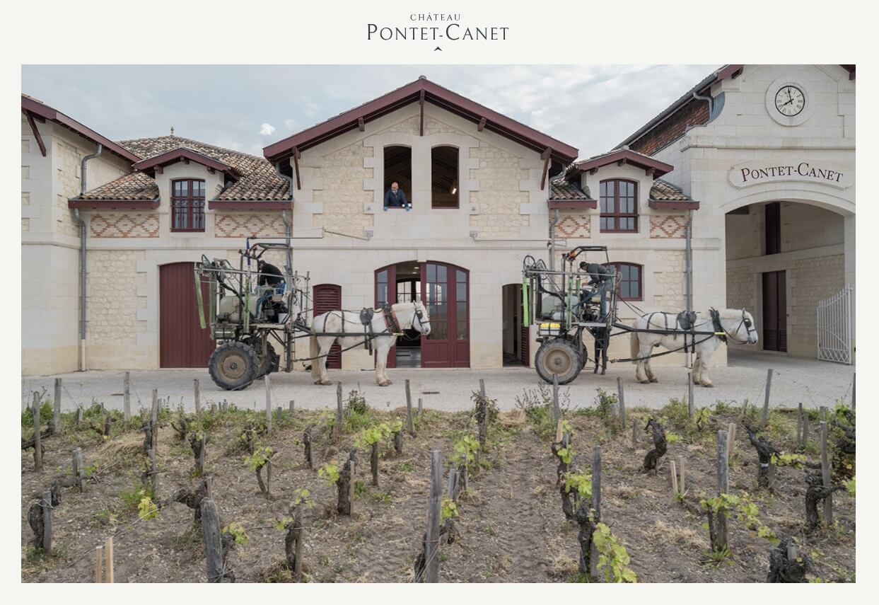 [France] Ch&acirc;teau Pontet-Canet 1990, Pauillac, Bordeaux｜샤토 퐁테-까네 1990 뽀이약, 보르도 5등급 그랑 크뤼 클라쎄
