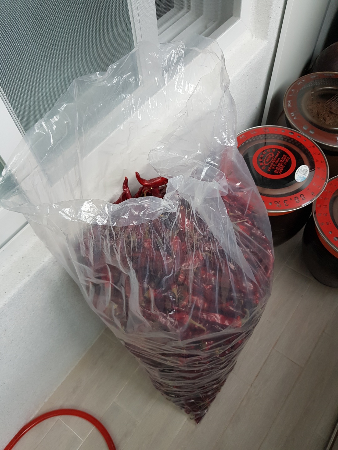 베란다에 놓고 잘 말려야지