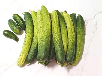 nv_오이 탕탕이 레시피_14