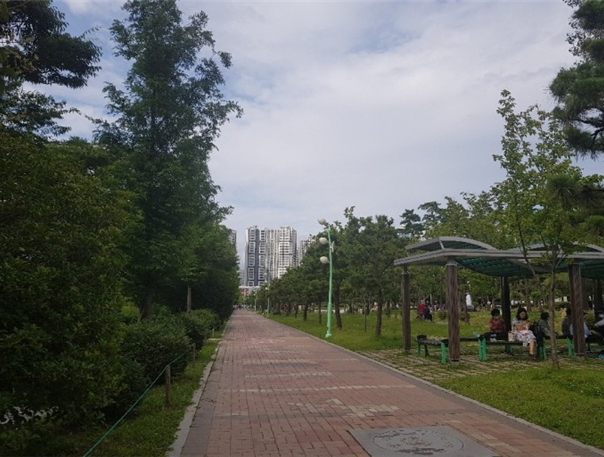 울창한 나무 숲