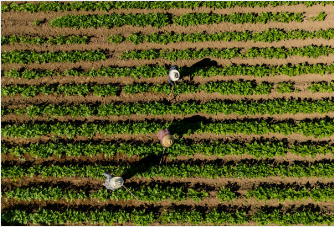 농지이양 은퇴직불제 신청