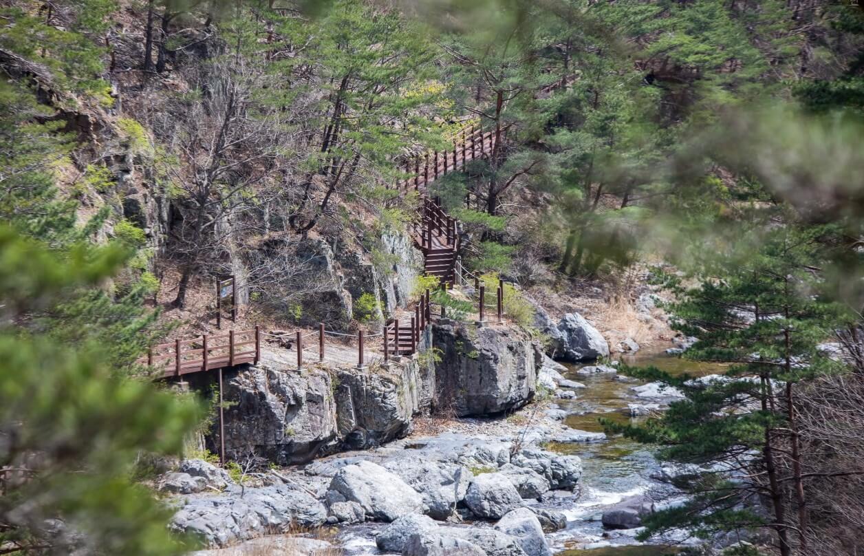 울진여행 울진애고백 신청방법