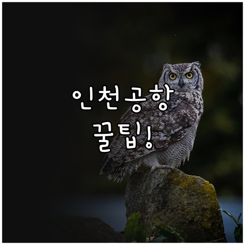 아에로멕시코 인천공항 제2터미널 찾아..