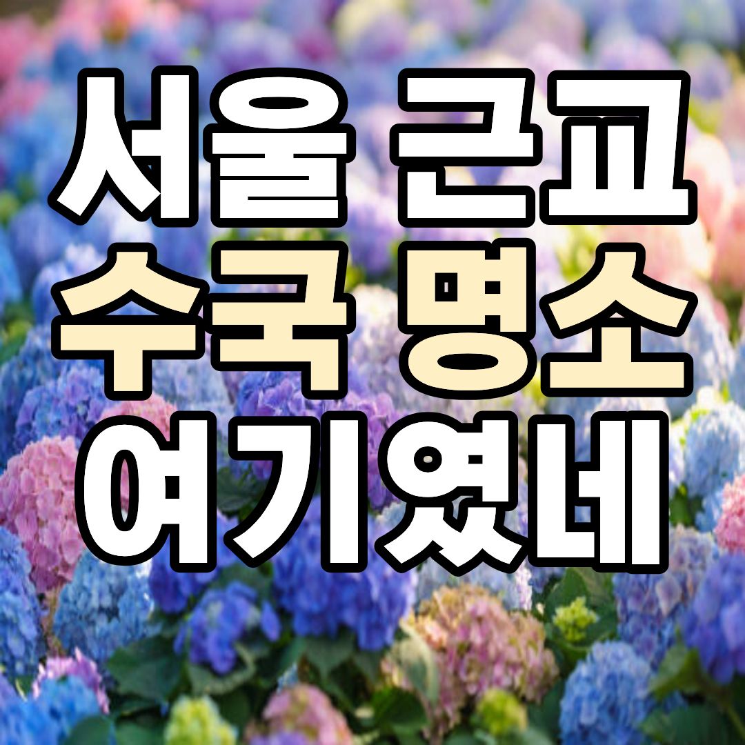 아침고요 수목원 수국축제 2026 가평 수국정원 수국 명소 풍경