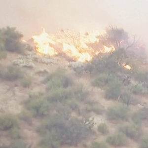 화재 관련주 대장주 테마주 수혜주 TOP5: LA 산불