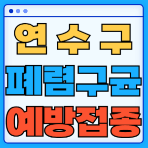 인천 연수구 폐렴구균 백신 무료 예방접종 비용지원 가격 신청방법 대상자 간격 13가 15가 20가 23가
