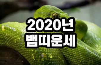 2025년 삼제띠 들삼재 눌삼재 날삼재에 대한 정보_3