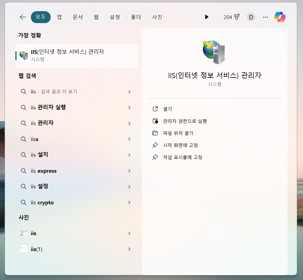 IIS 실행안됨 해결방법 - 6. IIS 검색