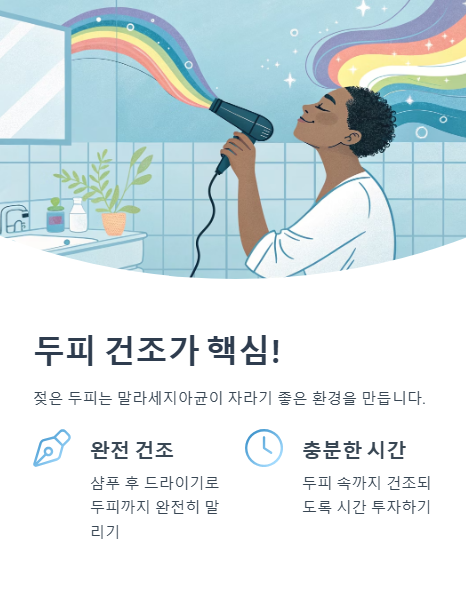 두피 건조가 핵심