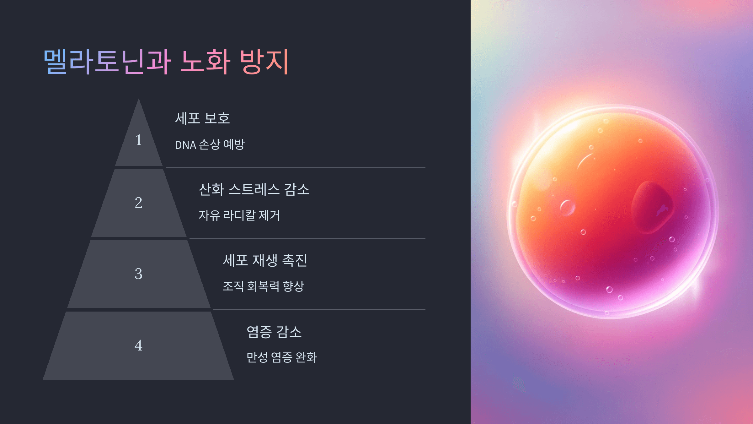멜라토닌과 관련된 사진입니다.
