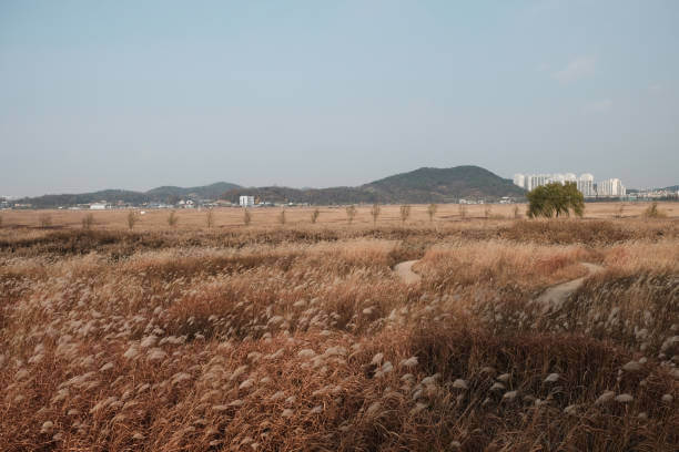 분당 부동산 투자