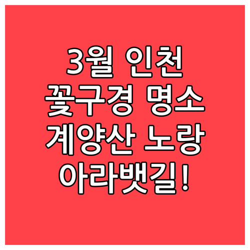 계양산 산수유와 아라뱃길 강바람 3월..