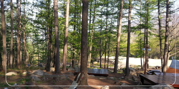 추석연휴 여행 집 근처 나들이 추천 서울23
