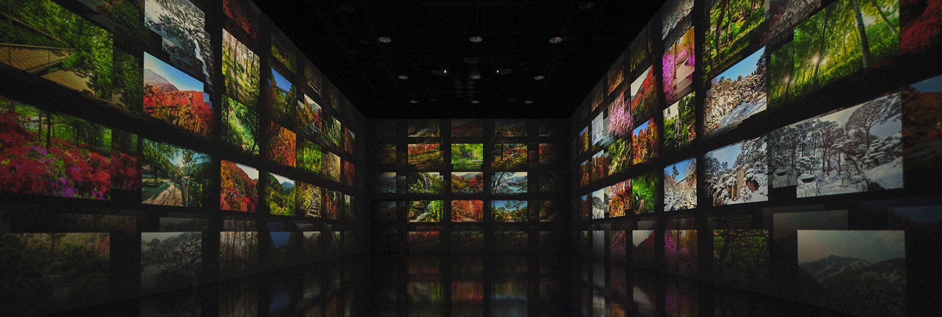 화담숲 모노레일 예매하기