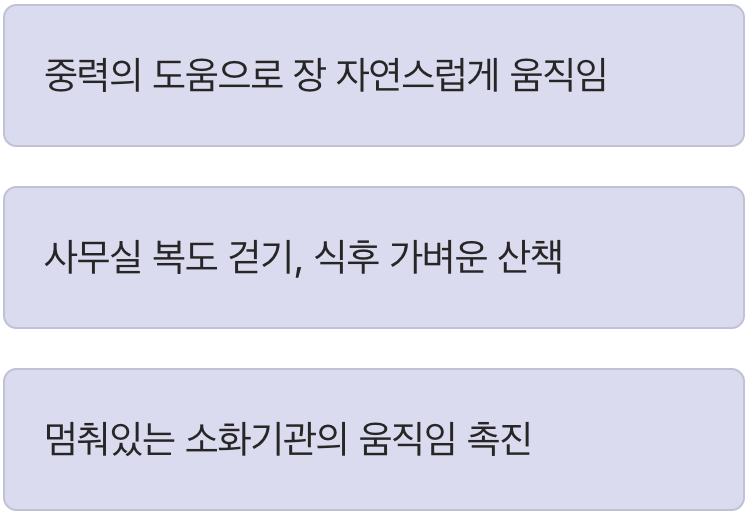 5. 가장 단순하지만 확실한 방법, ‘가볍게 걷기’