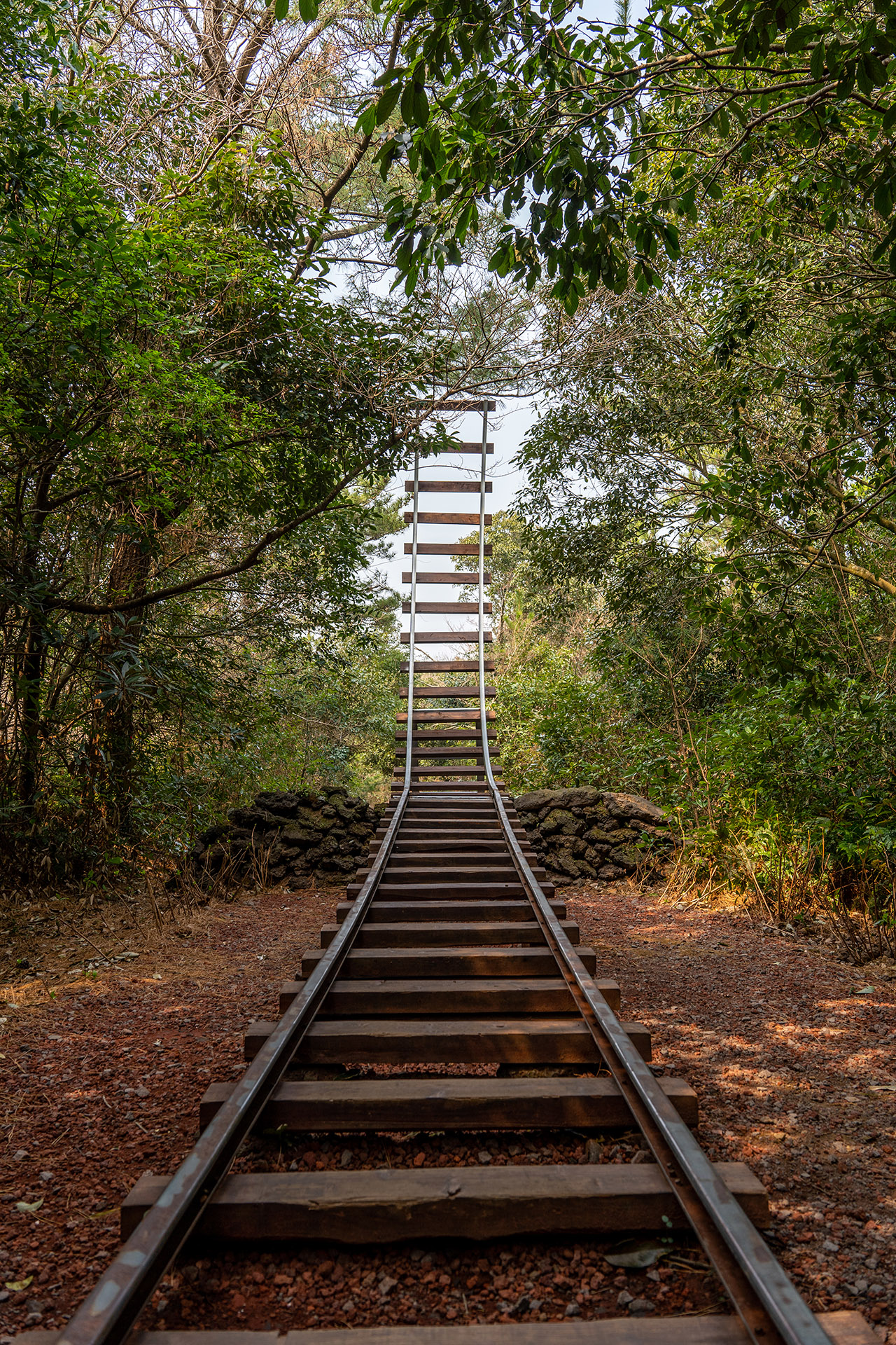 산양큰엉곶(산양곶자왈) 기찻길