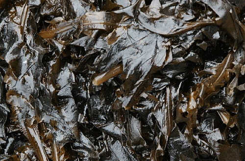 콜레스테롤 이란? 콜레스테롤 낮추는 음식,콜레스테롤에 좋은 음식 및 나쁜음식,콜레스테롤 낮추는 운동