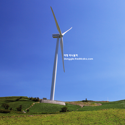 태백 가볼만한곳