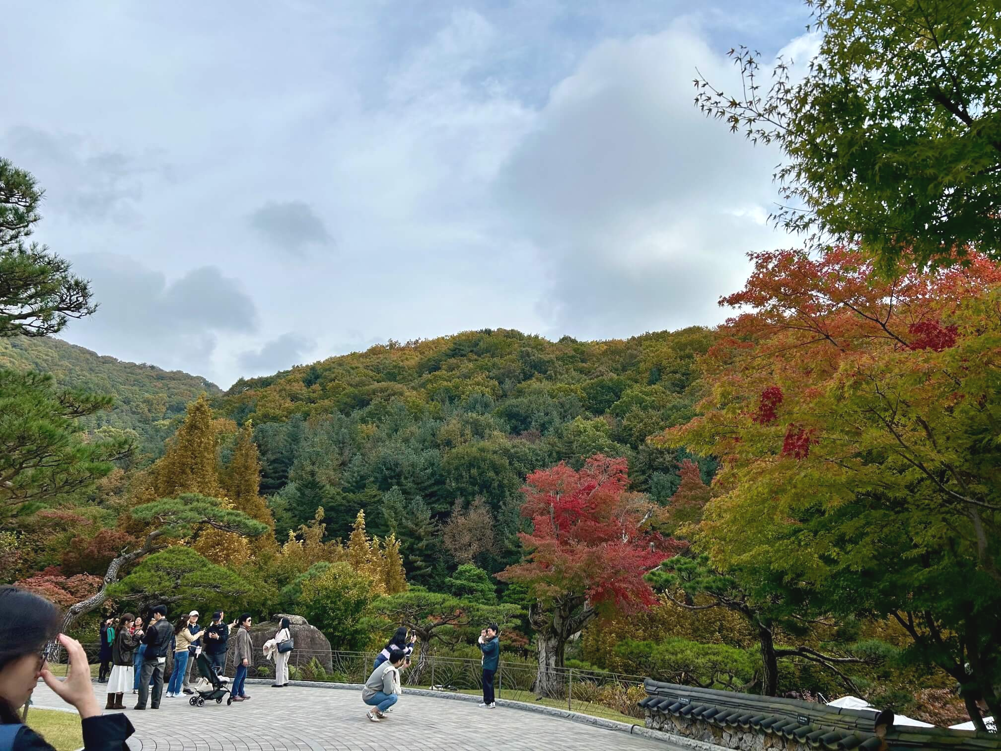 2024년 화담숲 10월 말 가을 단풍2