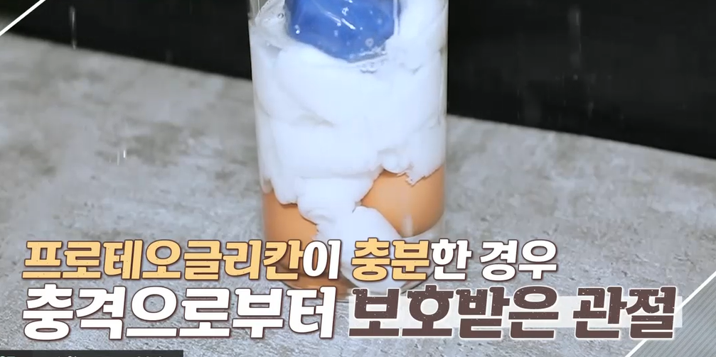 프로테오글리칸 효능 
