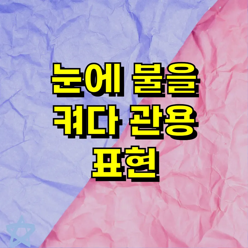 눈에 불을 켜다 관용 표현