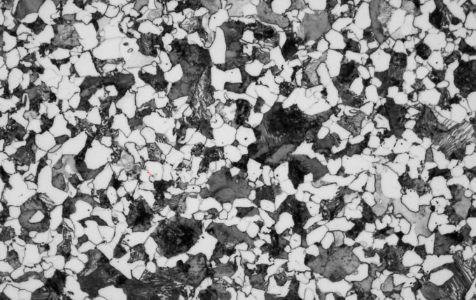 탄소강의 조직 (500배)