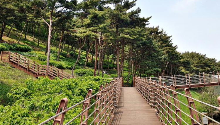 당진 삼선산수목원