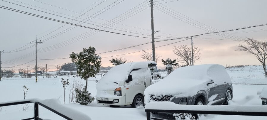 극한 한파 기사