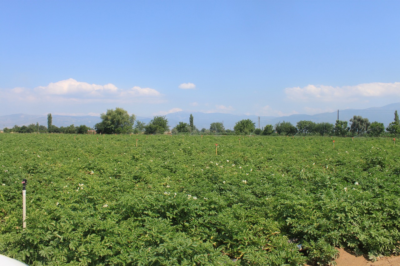 직불금 신청 기간