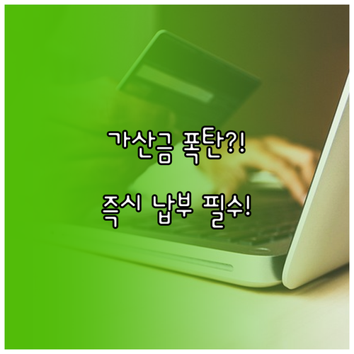 하이패스 미납 통행료 가산금 폭탄 피..