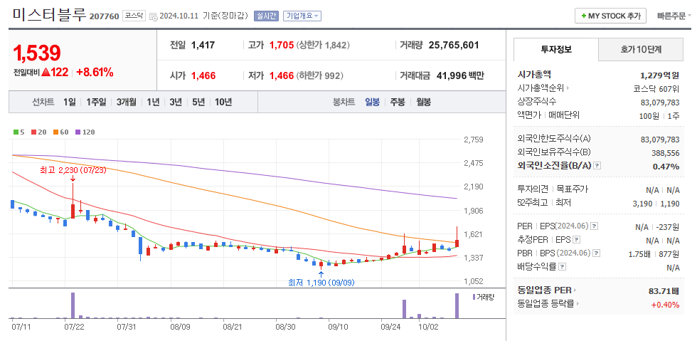 미스터블루 일봉차트