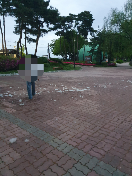 평택 소풍정원 캠핑장