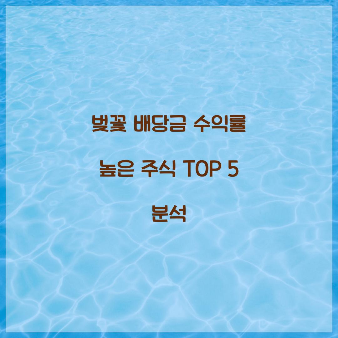 벚꽃 배당금