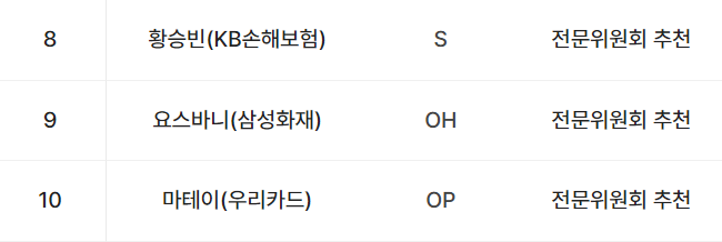 v리그 올스타전