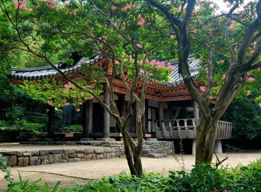 안면도-자연휴양림