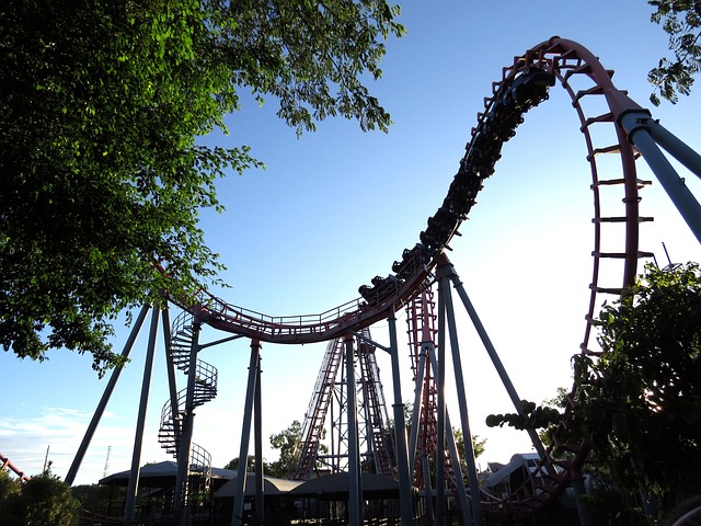 놀이동산 롤러코스터