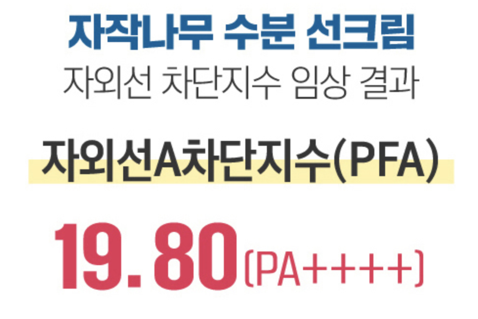 자작나무-수분-선크림-효과-효능