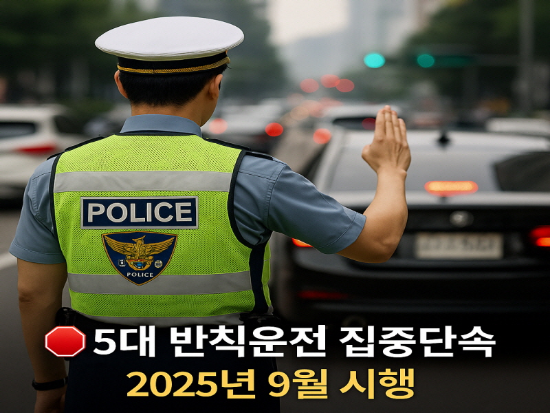 2025년 9월부터 시작되는 5대 반칙운전 집중단속 총정리 끼어들기,꼬리물기,새치기 유턴,버스전용차로,비긴급 구급차 위반