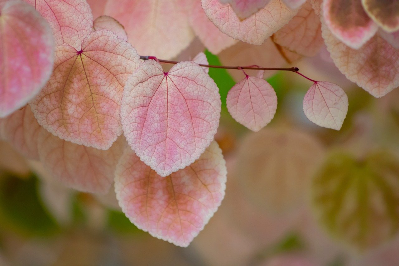 디딤돌대출 승인 안되는이유 심사탈락률 줄이는 팁 7가지