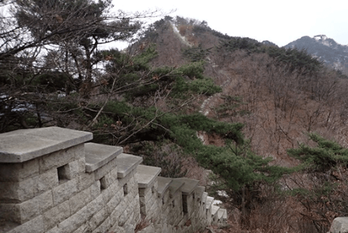 소귀천06