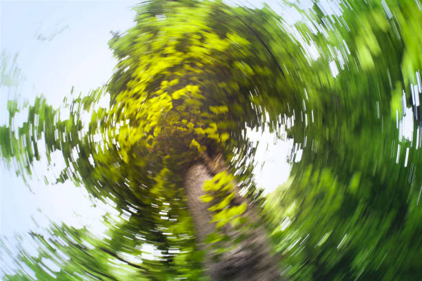 기립성빈맥증후군 원인