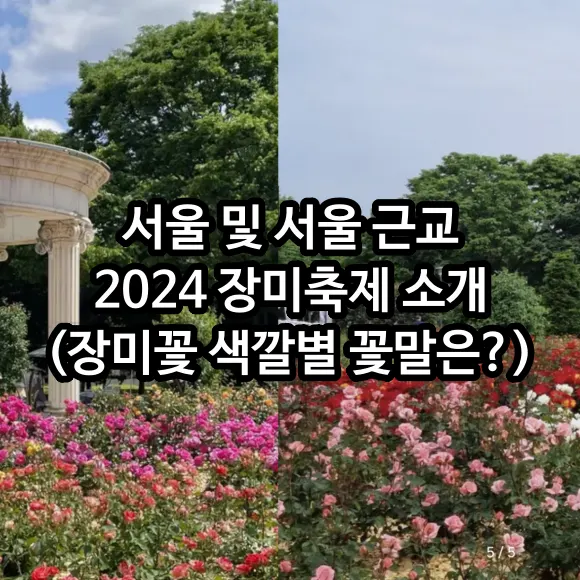 서울 및 서울 근교 2024 장미축제 소개